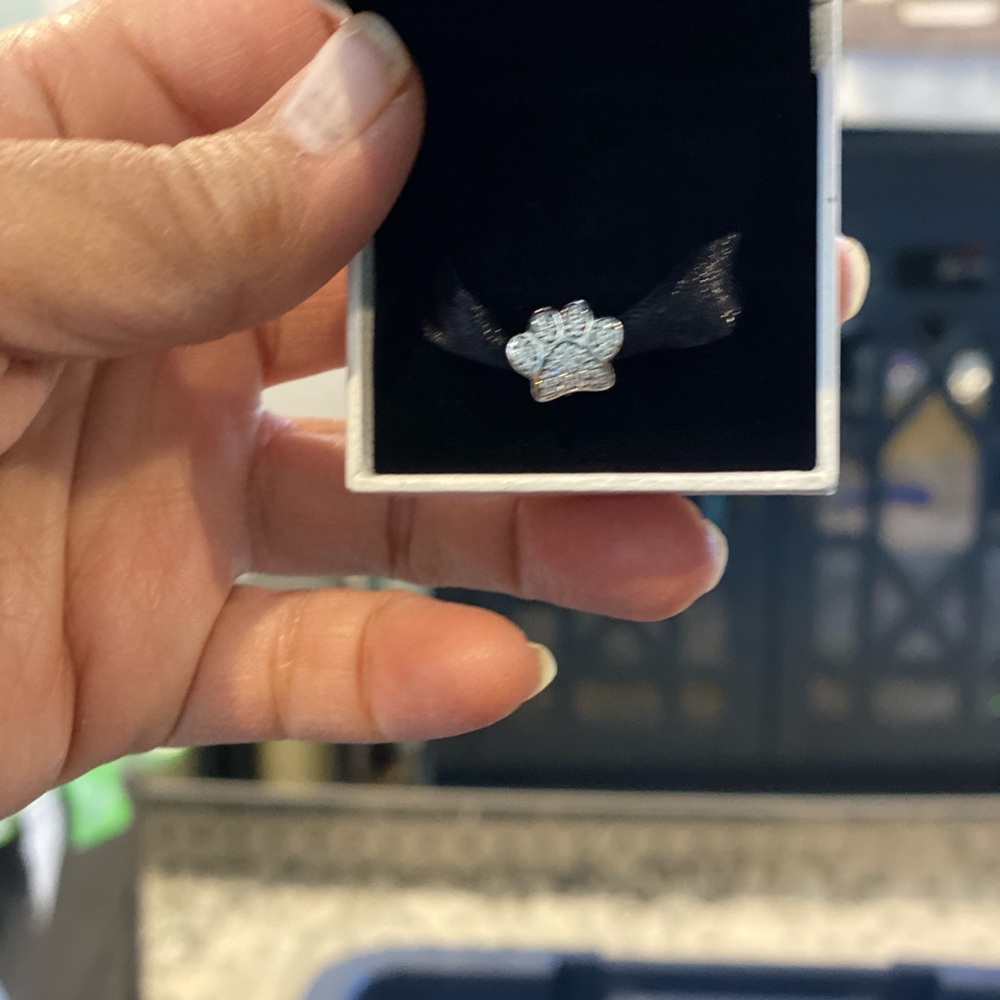 Pandora charm.  Brand new.  Great for pet lovers!!